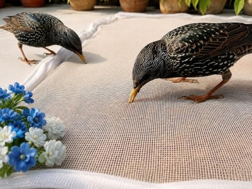 Mesh Food Drying Cover Net with Zipper Closure for Grain Drying, White Protective Mesh Cover for Terrace, Balcony and Outdoor Drying (28 X 38 INCHES) – Amazon