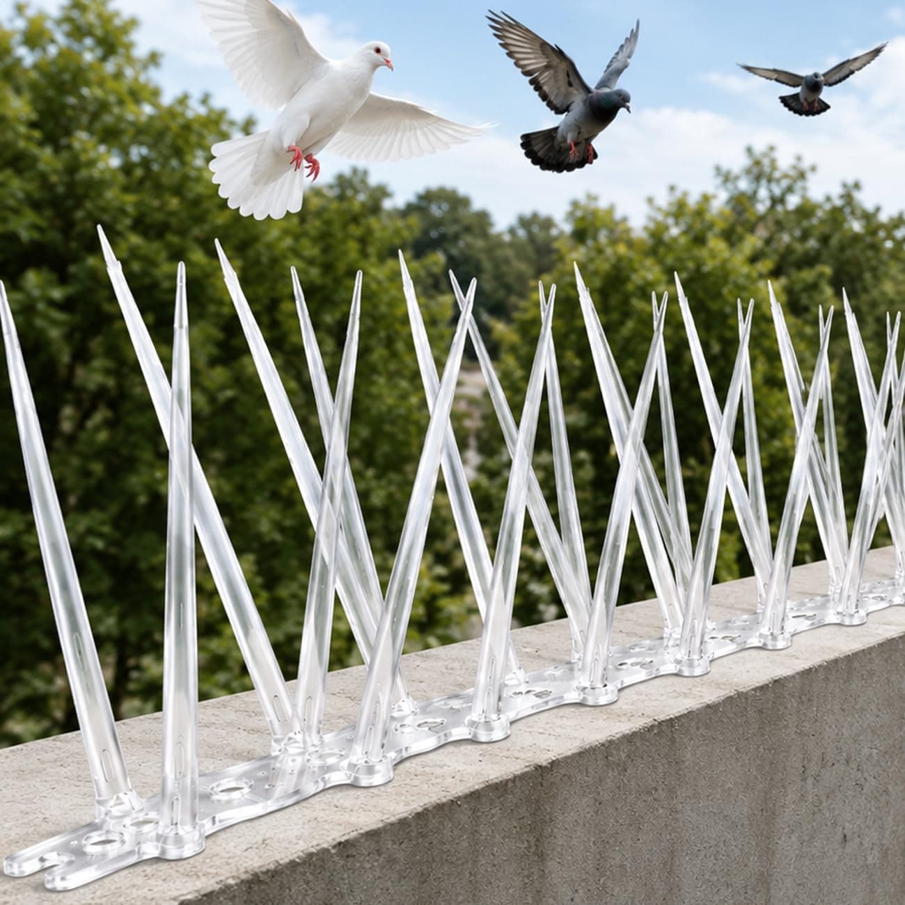 BENAVJI Anti Bird Spikes for Pigeons, Pack of 5, Transparent Polycarbonate, UV Resistant