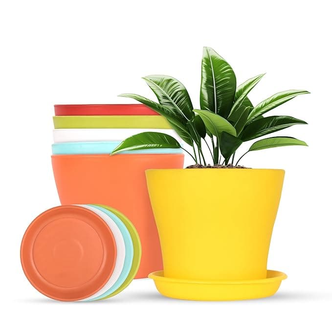 6 Inch Plastic Flower Pots with Matching Trays - Unbreakable Solid Colour Planters for Indoor & Outdoor Home Decor, Garden, Balcony & Living at ₹399 – Amazon