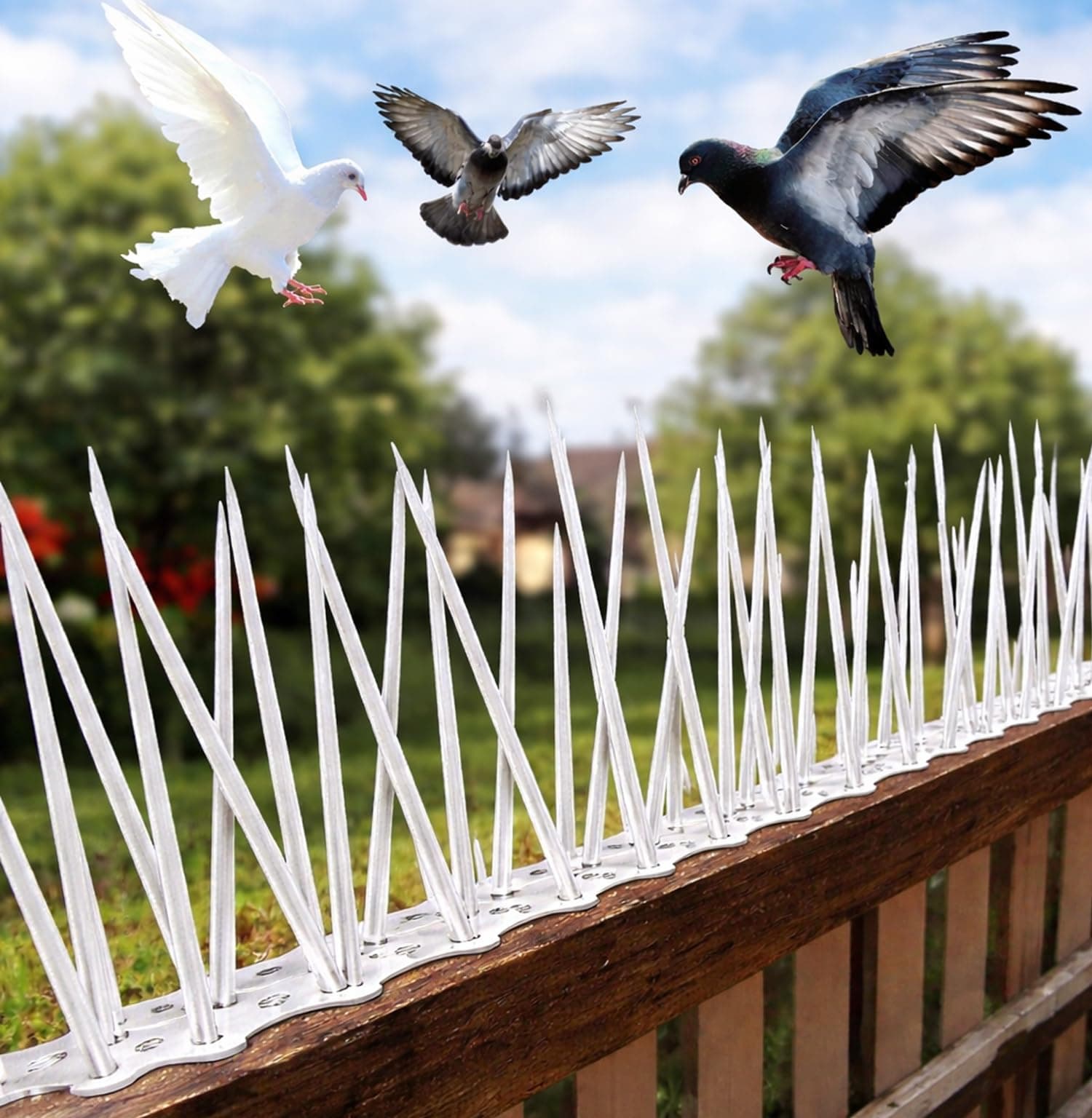 XONOV Anti Bird & Pigeon Plastic Spikes for Balcony Railing and Window (Pack of 10)