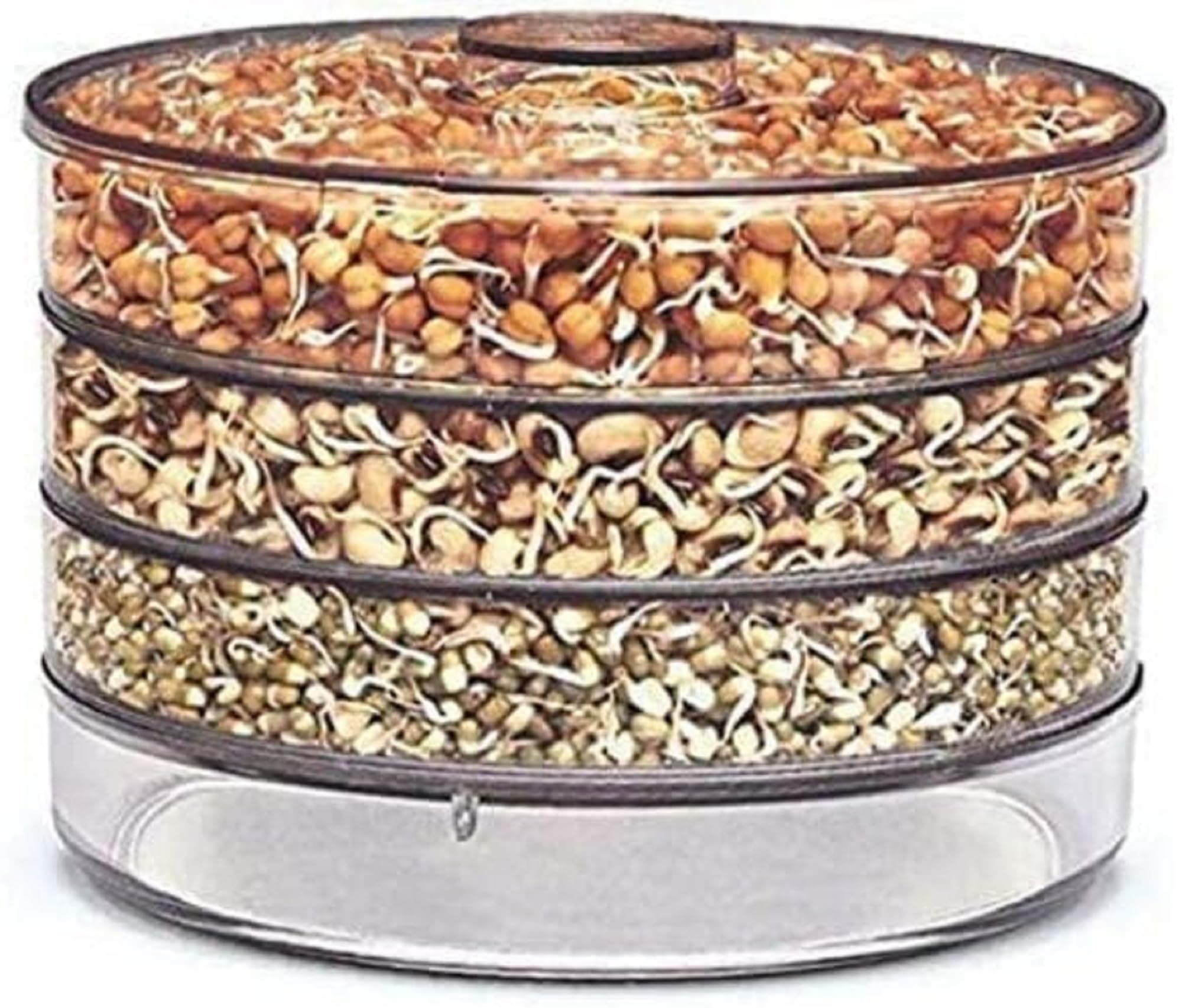 KESI Ornaments Sprout Maker with 4 Compartments