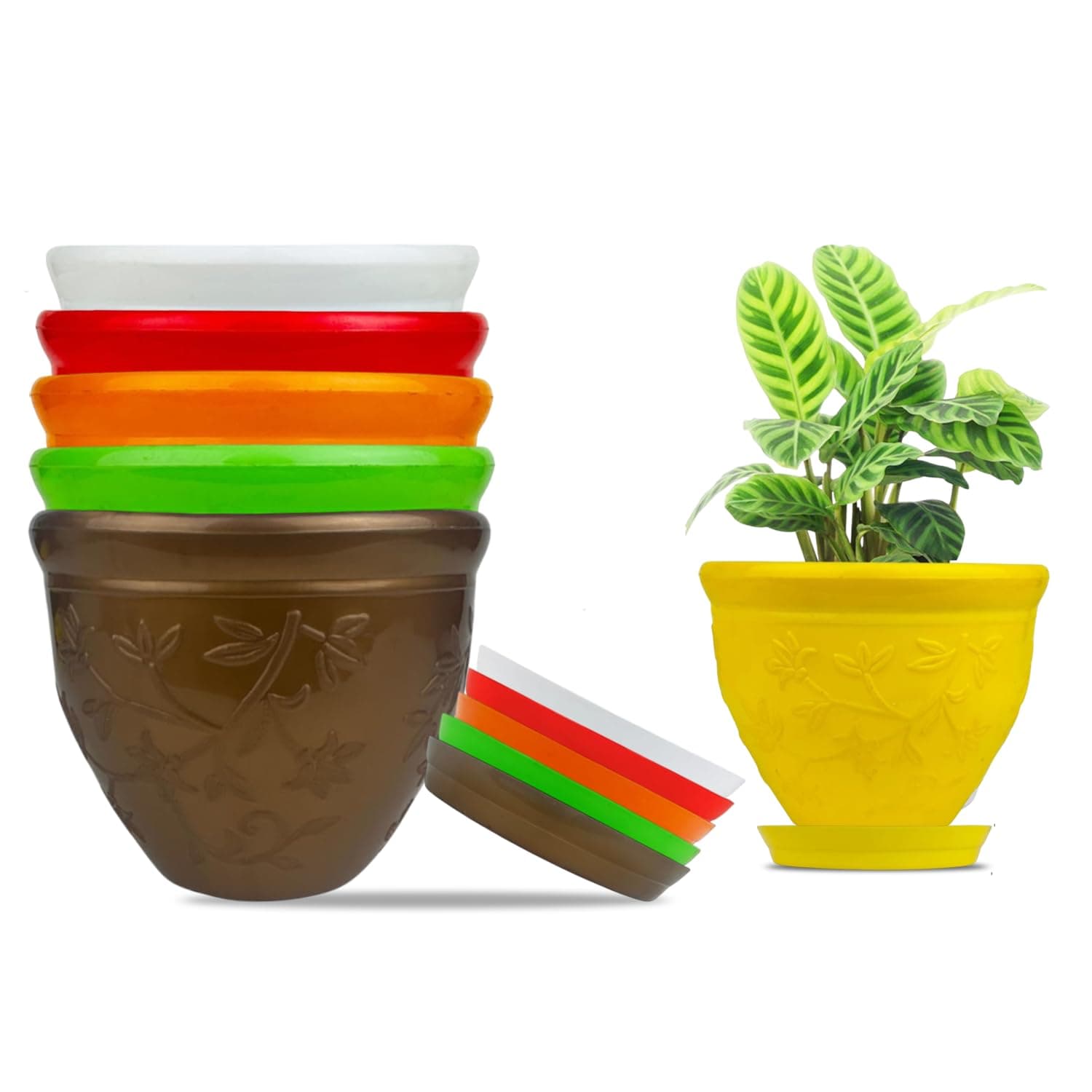 Go Hooked Plastic Planter Pots, Set of 6 with Saucer Tray, 6-Inch (Multicolor) at ₹274 (73% Off) – Amazon
