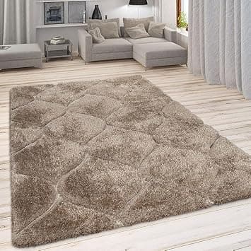 Shaggy Rug for Bedroom Living Room 3X5 FEET Fluffy Plush Area Carpet with Non Slip Backing, Modern Cozy Floor Rug for Home Decor and Comfort at ₹10 – Amazon