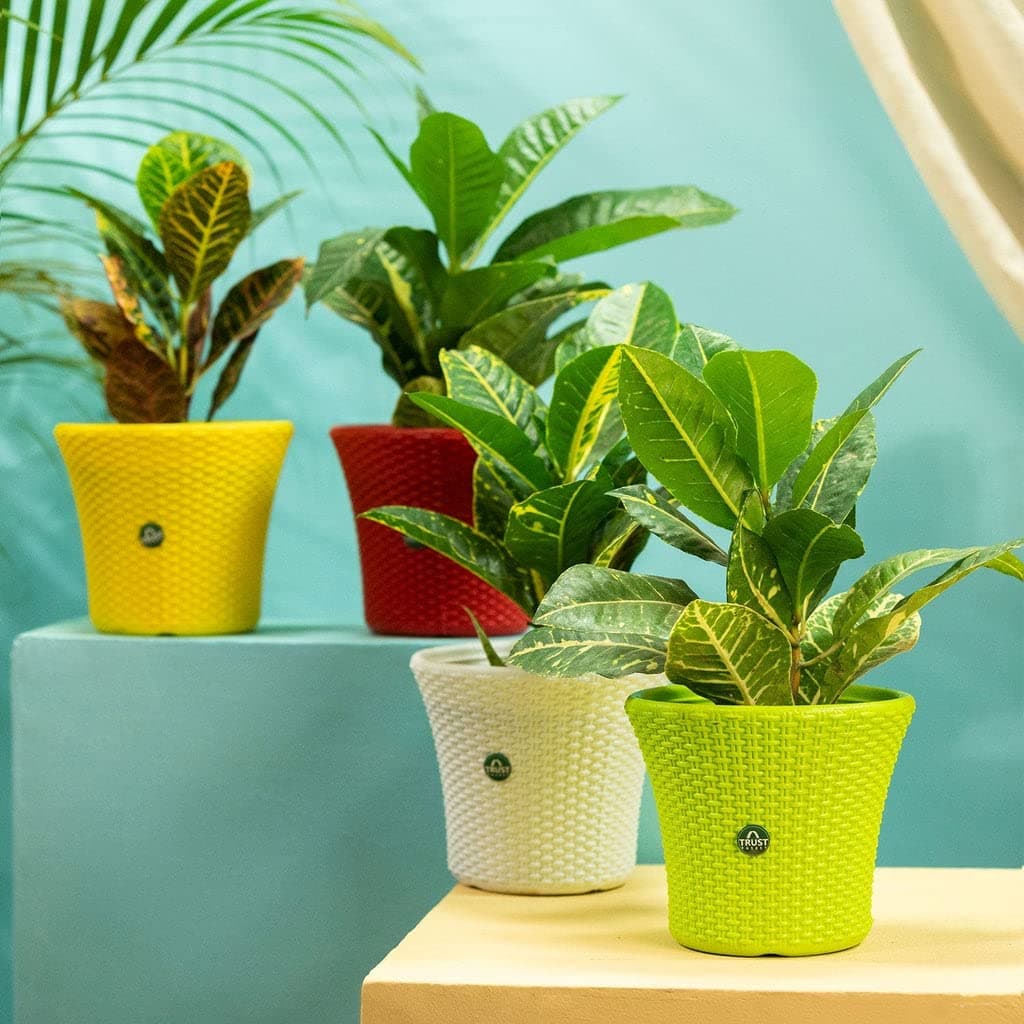 TrustBasket Helix Pot 7-inch Table Top Planter Pot (Pack of 4) | Heavy Duty Plastic Indoor and Outdoor Planter for Home Decor at ₹284 (73% Off) – Amazon