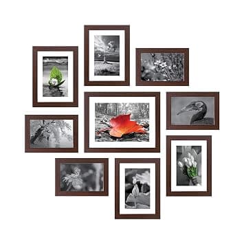 Solimo Synthetic Collage Set Of 9 Photo Frames ( 5 X 7 Inch - 4, 6 X 8 Inch - 4 & 8 X 10 Inch - 1) , Brown, Rectangular, wall mount at ₹327 – Amazon