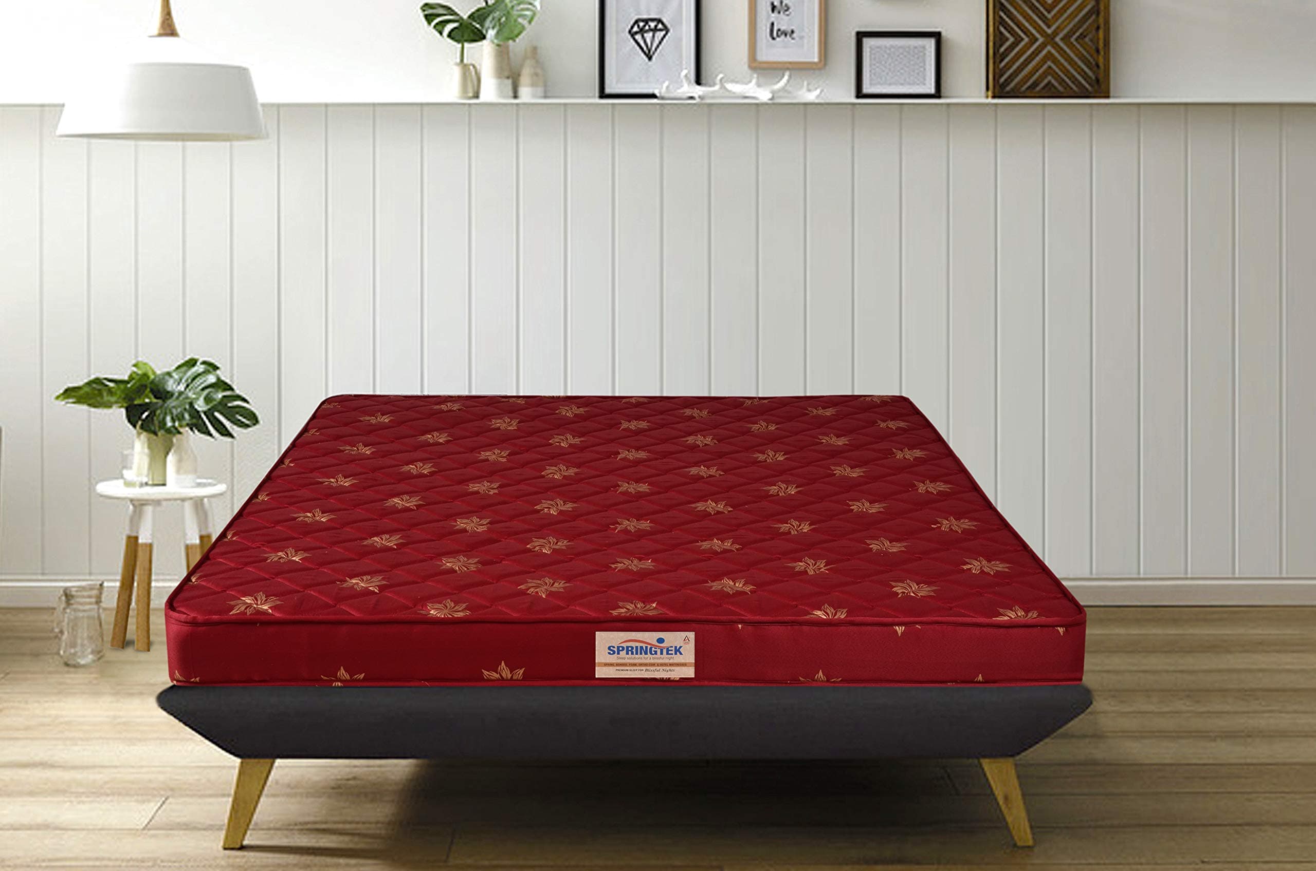 Springtek Amaze Eco 6-Inch Double Foam Mattress, 72x48 in