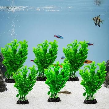 Set of 6 : Aquarium Plastic Plant Green Artificial – Amazon